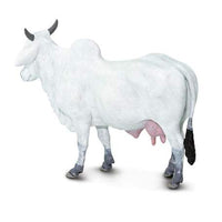 Ongole Cow