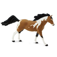 Pinto Mustang Stallion
