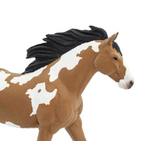 Pinto Mustang Stallion
