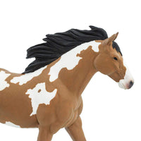 Pinto Mustang Stallion