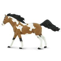 Pinto Mustang Stallion
