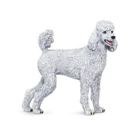 Poodle
