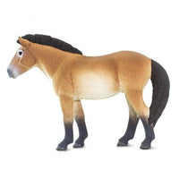 Przewalski's Horse
