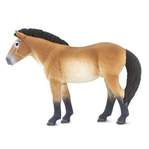 Przewalski's Horse