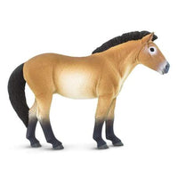 Przewalski's Horse
