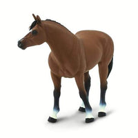 Quarter Horse Gelding