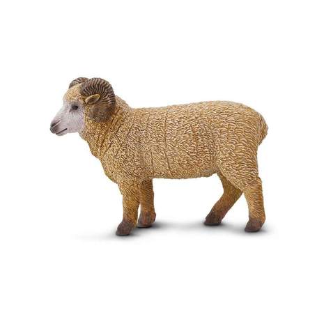 Ram