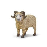 Ram
