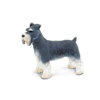 Schnauzer
