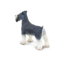 Schnauzer
