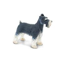 Schnauzer

