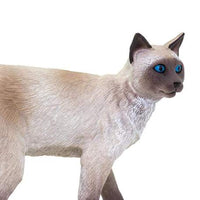 Siamese