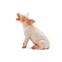 Sitting Piglet
