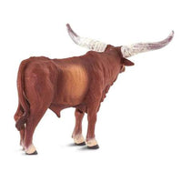 Watusi Bull
