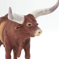 Watusi Bull
