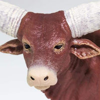 Watusi Bull
