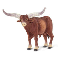 Watusi Bull
