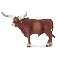 Watusi Bull
